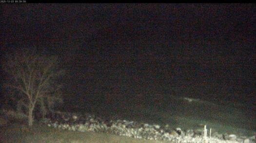 Weather camera view of Carthage College.