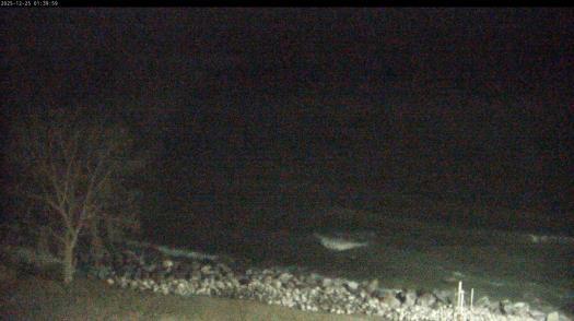 Weather camera view of Carthage College.