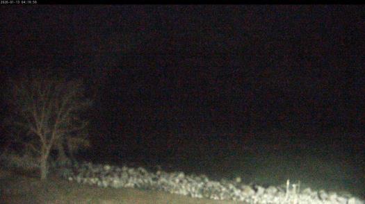 Weather camera view of Carthage College.