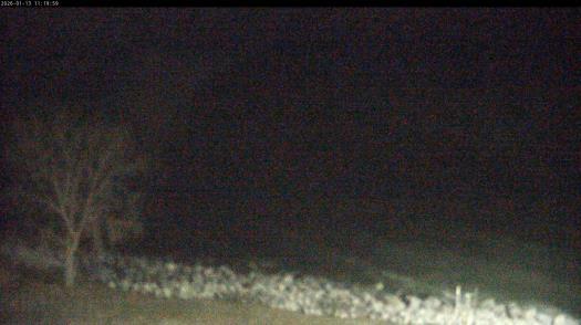 Weather camera view of Carthage College.