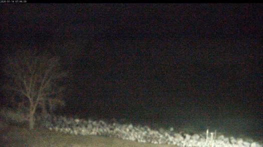 Weather camera view of Carthage College.