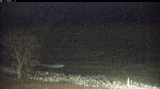 Weather camera view of Carthage College.