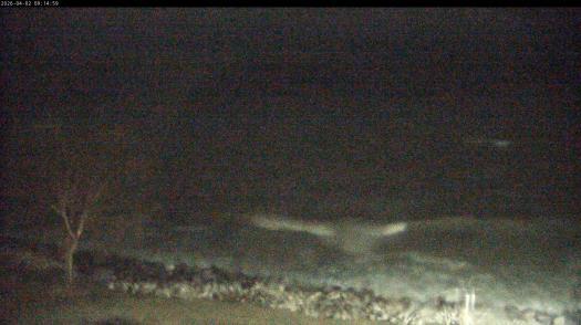 Weather camera view of Carthage College.