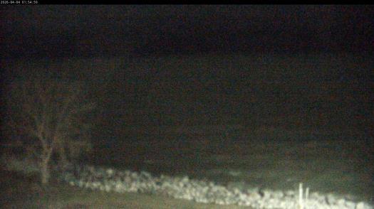 Weather camera view of Carthage College.