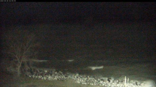 Weather camera view of Carthage College.