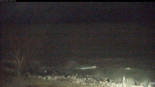 Weather camera view of Carthage College.