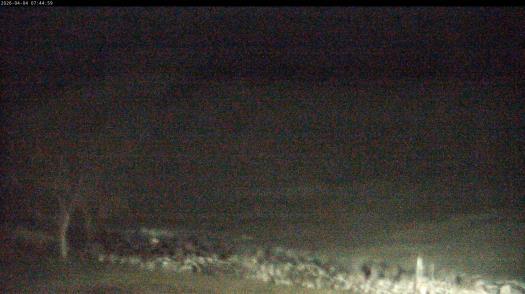 Weather camera view of Carthage College.