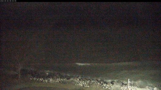 Weather camera view of Carthage College.