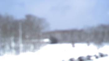 Weather camera view of Kane Area SD.