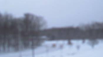 Weather camera view of Kane Area SD.