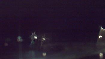 Weather camera view of Kane Area SD.