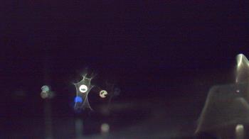 Weather camera view of Kane Area SD.