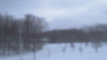 Weather camera view of Kane Area SD.