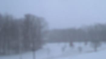 Weather camera view of Kane Area SD.