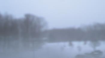 Weather camera view of Kane Area SD.