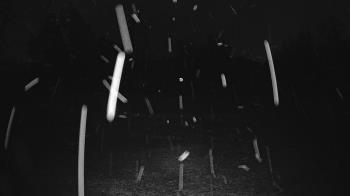 Weather camera view of Lagoon Park.