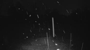 Weather camera view of Lagoon Park.