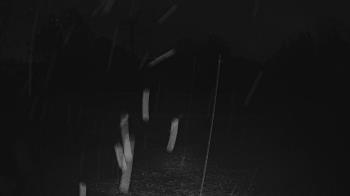 Weather camera view of Lagoon Park.