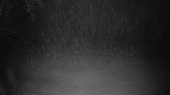 Weather camera view of Lagoon Park.