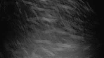 Weather camera view of Lagoon Park.