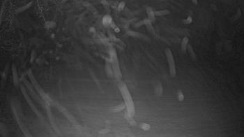 Weather camera view of Lagoon Park.