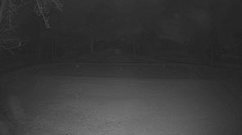 Weather camera view of Lagoon Park.