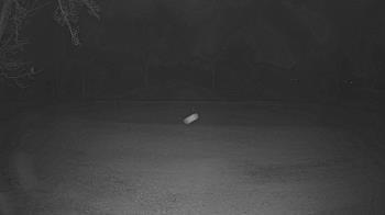 Weather camera view of Lagoon Park.