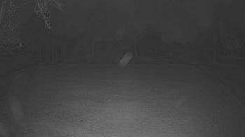 Weather camera view of Lagoon Park.