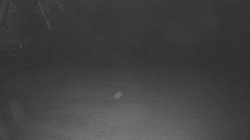 Weather camera view of Lagoon Park.