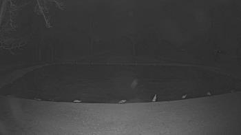 Weather camera view of Lagoon Park.