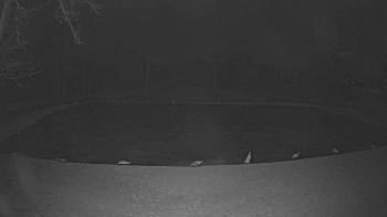 Weather camera view of Lagoon Park.