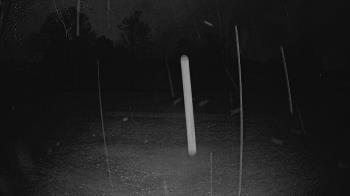 Weather camera view of Lagoon Park.