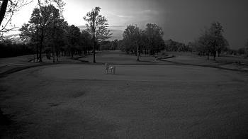 Weather camera view of Lagoon Park.
