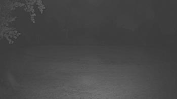 Weather camera view of Lagoon Park.