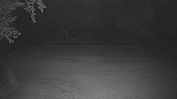 Weather camera view of Lagoon Park.