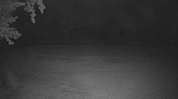 Weather camera view of Lagoon Park.