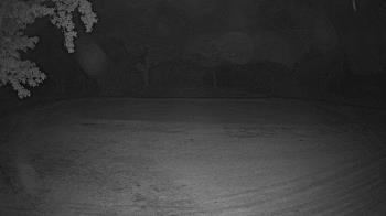 Weather camera view of Lagoon Park.