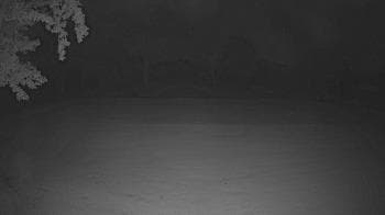 Weather camera view of Lagoon Park.