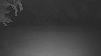 Weather camera view of Lagoon Park.