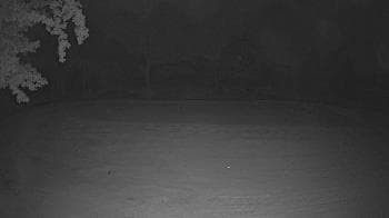 Weather camera view of Lagoon Park.