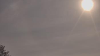 Weather camera view of The Lamplighter School.