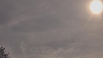 Weather camera view of The Lamplighter School.