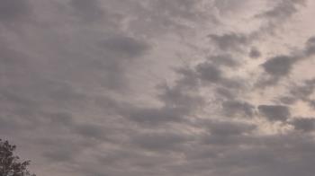 Weather camera view of The Lamplighter School.