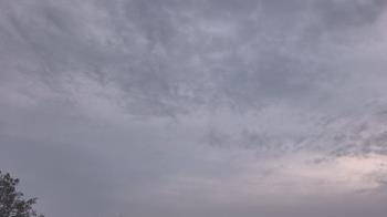 Weather camera view of The Lamplighter School.