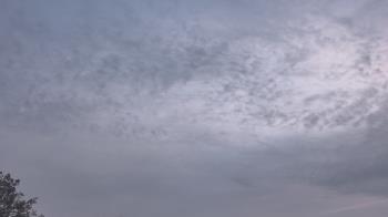 Weather camera view of The Lamplighter School.