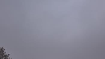 Weather camera view of The Lamplighter School.