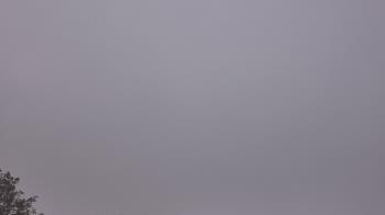 Weather camera view of The Lamplighter School.