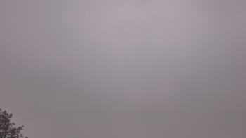 Weather camera view of The Lamplighter School.