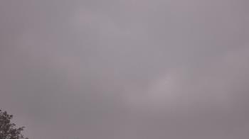 Weather camera view of The Lamplighter School.