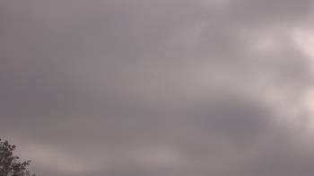 Weather camera view of The Lamplighter School.